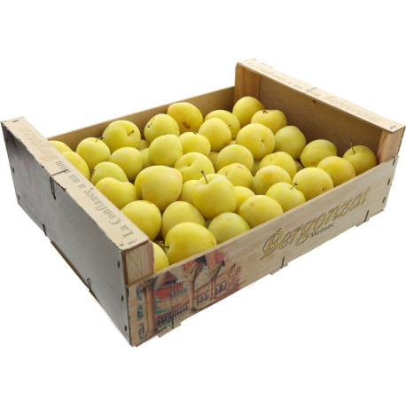 PRUNE JAUNE GOLDEN JAPAN 5KG